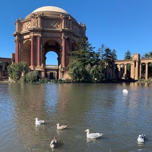 Meet your Posher, Sara